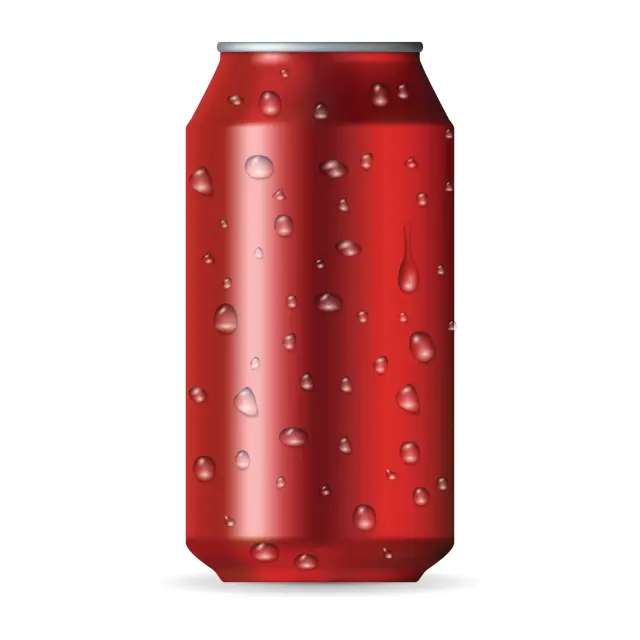 Boston Kebab Cans Soda (12Oz) at BOSTON KEBAB, Waltham MA