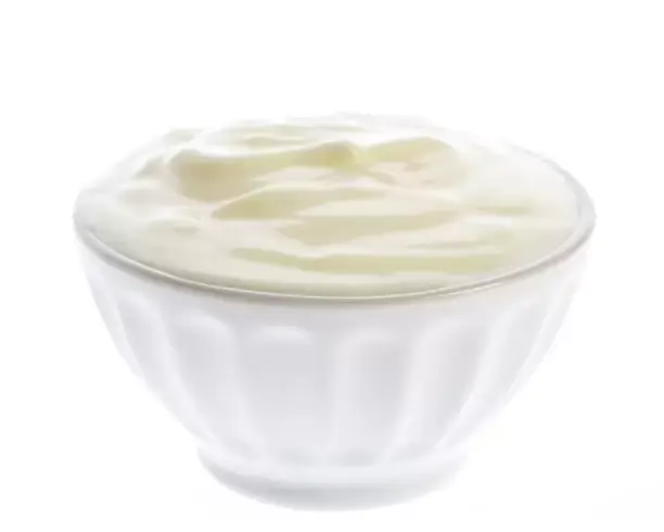 Boston Kebab Plain Yogurt Cup at BOSTON KEBAB, Waltham MA