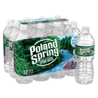 Boston Kebab Poland Spring Water